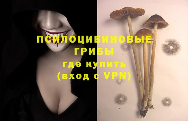 каннабис Богородицк