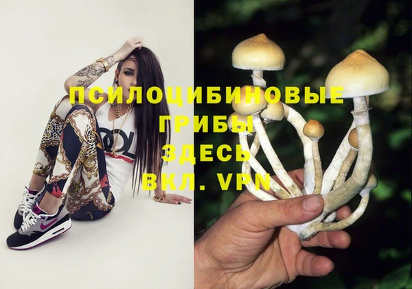 Альфа ПВП Богданович